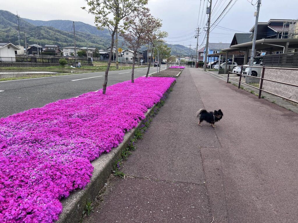 亡父の思いと敦賀の歴史が重なる月命日