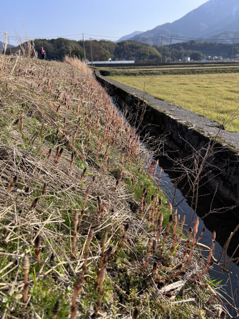 「懸け橋」の役割を果たした日本外交