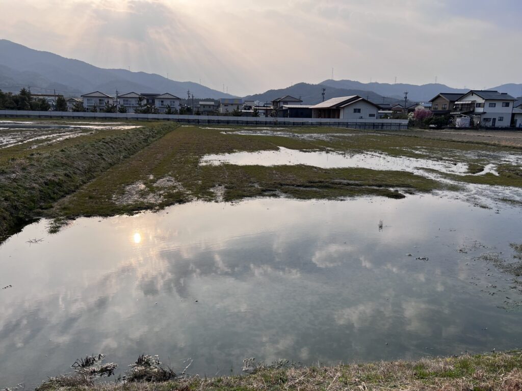 残念で心配な「桜」と「ハラスメント」