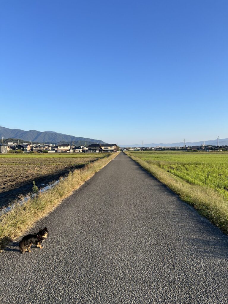 亡き父のこころざし（志）は、わが名にも胸にもあり